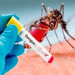 Foto: Dengue cobra más vidas que nunca en Brasil /cortesía