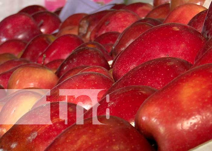 Foto: Toneladas de manzanas y uvas a Nicaragua en fiestas de diciembre /Tn8