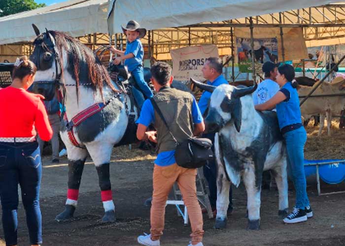 Foto: Culmina "Feria Ganadera Navidad, Managua 2023" Después de 6 días de celebración/Cortesía