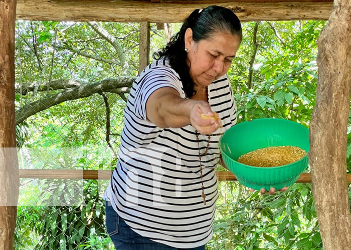 Foto: ¡Nica Vida fortaleciendo emprendimientos familiares en Totogalpa en Madriz!/TN8