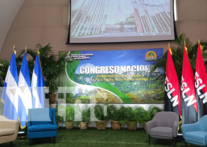Foto: Congreso forestal en Nicaragua con el INAFOR / TN8