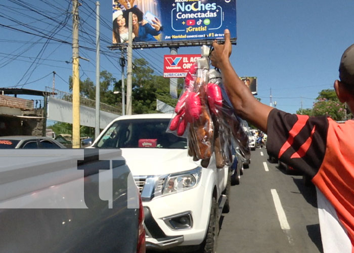 Foto: Cuernos navideños, adornos populares en carros de Managua / TN8