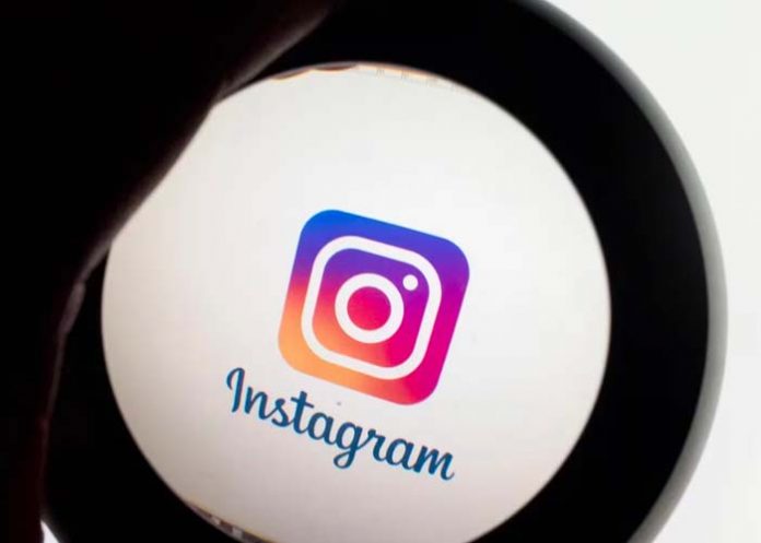 Foto: Instagram Transforma: Traducción Automática y Novedades en Camino/ Cortesía