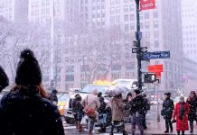 Foto: Inesperada nevada sorprende a Nueva York /cortesía