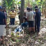 Ciudadano pierde la vida al caer de un árbol en San Marcos, Carazo