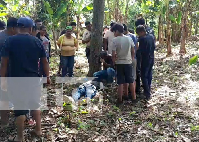 Ciudadano pierde la vida al caer de un árbol en San Marcos, Carazo