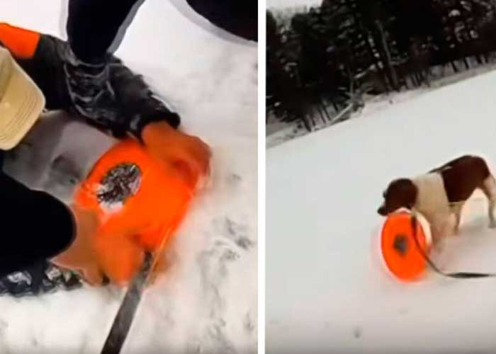 Perrita rescata a su dueño de morir en un lago congelado en Michigan, Estados Unidos