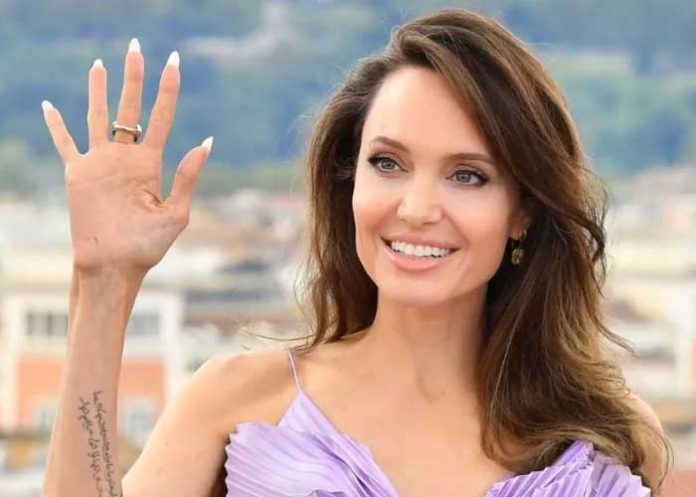 Conoce a quien podría ser el nuevo amor de Angelina Jolie