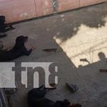¡5 rottweiler acaban con su amo! Ataque canino priva de la vida a un joven en Managua