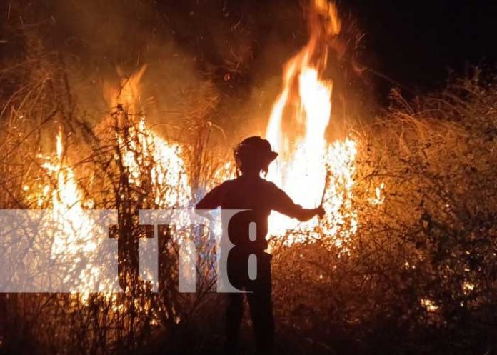Foto: Hombre muere en una quema de maleza en Somotillo /Tn8