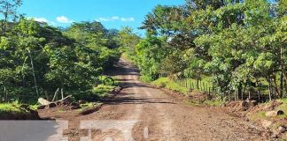 Foto: ¡Río Blanco inaugura rehabilitación de carretera vital para la producción agropecuaria!/TN8
