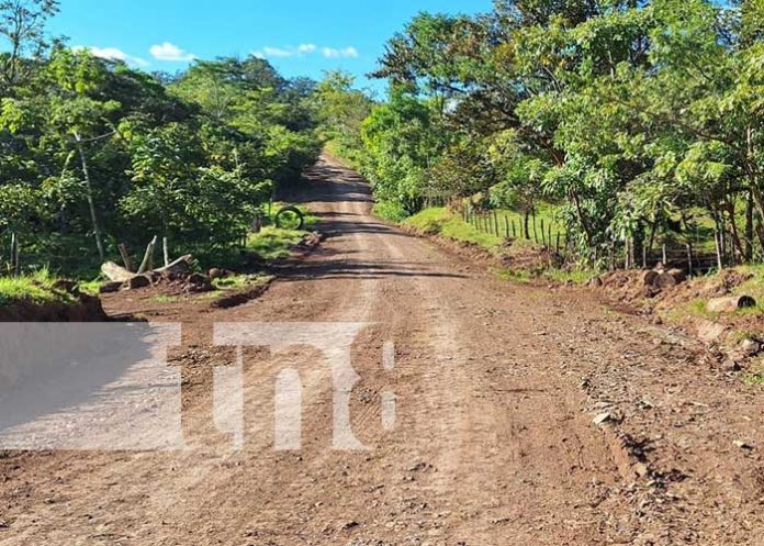 Foto: ¡Río Blanco inaugura rehabilitación de carretera vital para la producción agropecuaria!/TN8