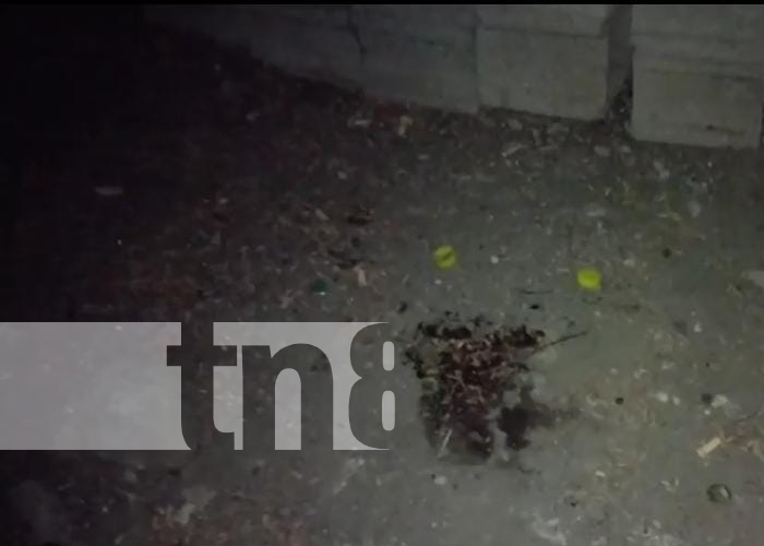 Foto: Ciudadano pierde la vida tras convulsionar en Granada / TN8