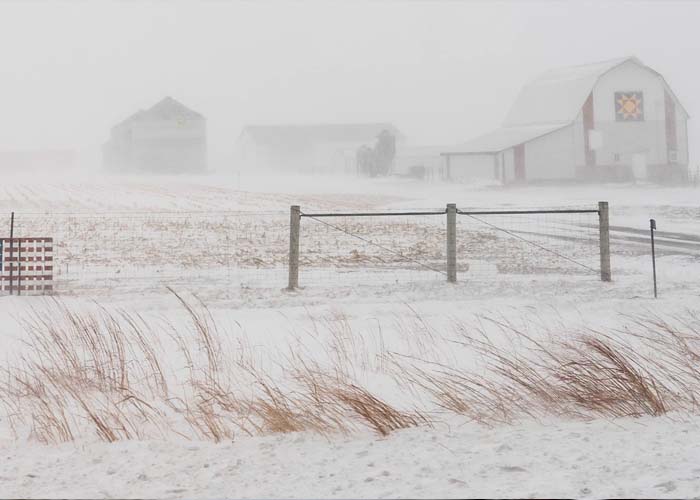 Foto:  Chicago en Alerta: Tormenta de Nieve y Frío Extremo a la Vista  / Cortesía