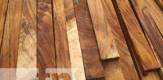 Foto: Incautación de madera ilegal en Matiguas/Tn8