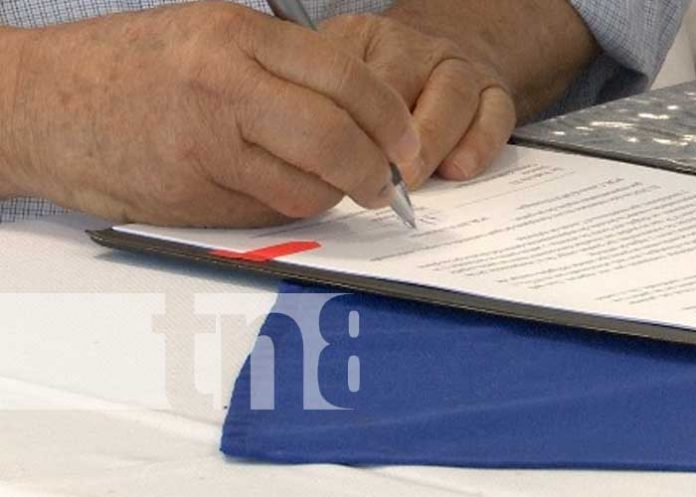Foto: Firman dos grandes acuerdos para incrementar buena producción en Nicaragua/Tn8