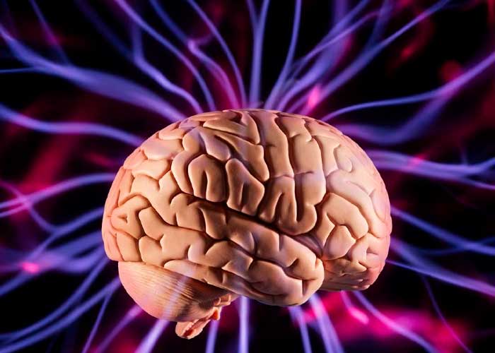 Foto: Alimenta tu cerebro, protege tu memoria del Alzheimer /cortesía