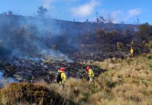 Foto: Devastador incendio forestal en Ecuador afecta la Reserva Ecológica El Ángel/Cortesía