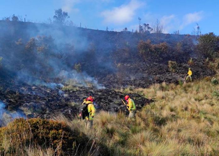 Foto: Devastador incendio forestal en Ecuador afecta la Reserva Ecológica El Ángel/Cortesía