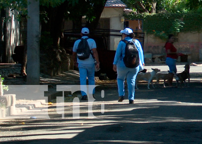 Foto: "Juntos eliminemos el zancudo" Continúa la lucha antiepidémica en Managua/TN8