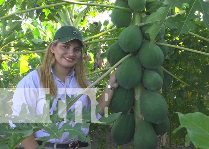 Foto: Estudiantes de los tecnológicos con muchos sueños por construir / TN8