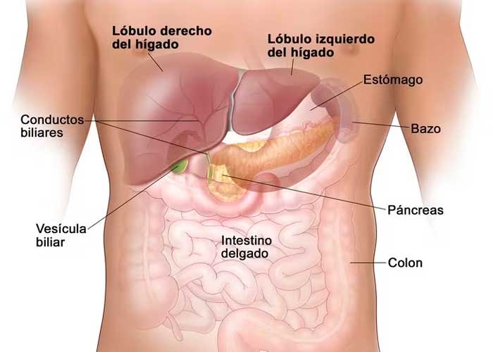 Foto: Cáncer y sudores nocturnos /cortesía