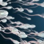 Autorizan obtener esperma de su esposo fallecido