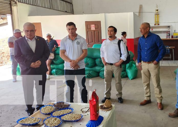 Foto: Presidente del Banco Central de Nicaragua visita cooperativa de café en Jinotega / TN8
