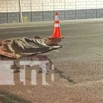 Foto: Mortal accidente en la carretera Chinandega-Chichigalpa / TN8
