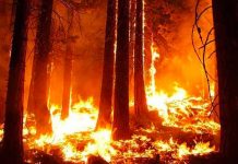 Suben a 21 los incendios forestales en Colombia