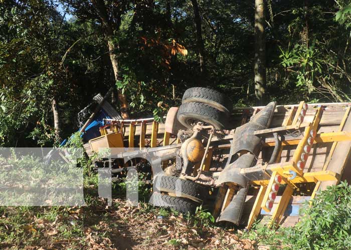 Foto: Accidente con varias vacas muertes en Siuna / TN8