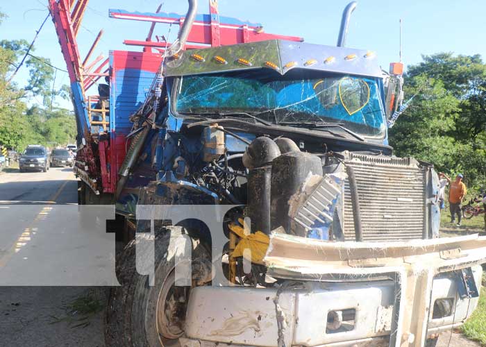 Foto: Accidente con varias vacas muertes en Siuna / TN8