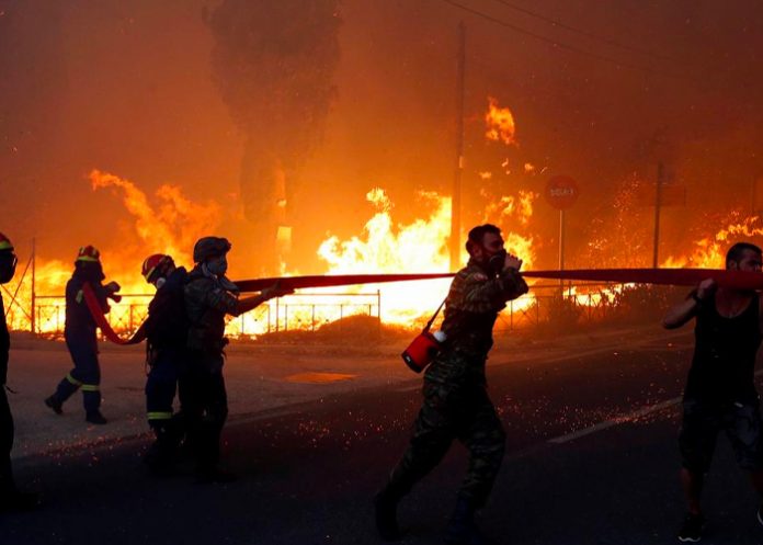 Colombia reporta 31 incendios forestales activos 