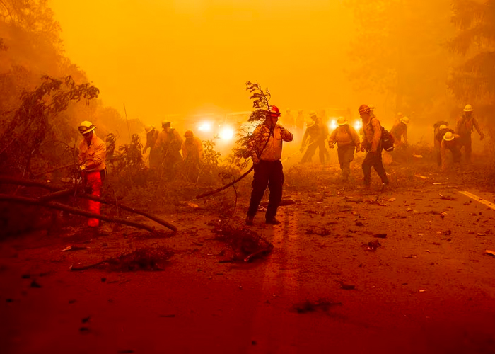 Colombia reporta 31 incendios forestales activos 