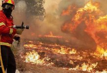 Incendios forestales azotan Colombia
