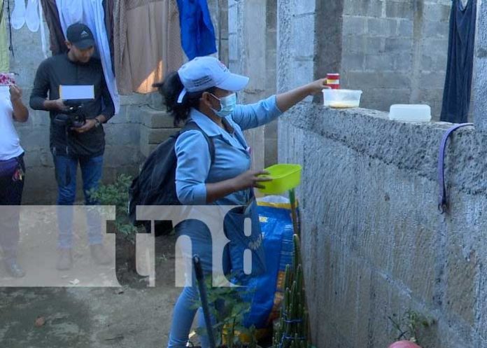 Foto: Abatización en barrios de Managua / TN8