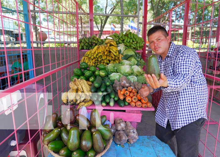 41 nuevos tramos en el Mercado Mayoreo de Managua