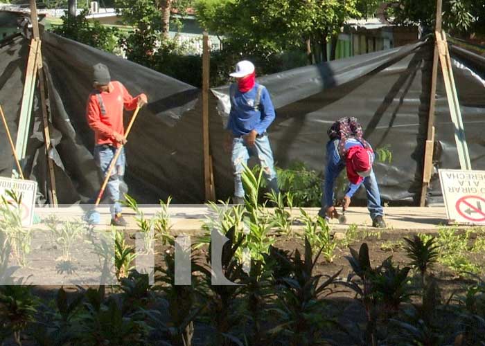 Foto: Avanza construcción de nuevo paseo en el corazón de Managua / TN8 