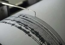 "No hay víctimas": Sismo de magnitud 6,5 sacude el noroeste de Brasil