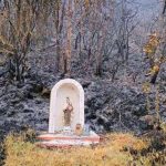 Estatua de una Virgen quedó intacta tras incendio forestal