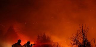 Número de muertos por incendios en Chile se eleva a 112