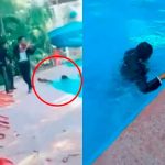 Mariachi cae a la piscina durante la serenata y el video causa sensación