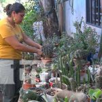 Nandaime se destaca en la comercialización de plantas exóticas