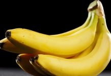 Foto: Rusia detecta la presencia de moscas jorobadas en bananas importadas de Ecuador/Tn8