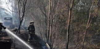 Foto: Gobierno chileno confirma 19 decesos por incendios forestales/Cortesía