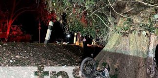 Conductor ebrio provoca accidente en Jalapa: Motociclista pierde control y impacta un árbol