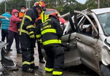 Foto: ¡Trágico accidente en la Riviera Maya! Seis muertos y dos heridos en colisión fatal/Cortesía