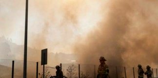 Foto: Asciende a 51 el número de muertos por los incendios forestales en Chile/Cortesía