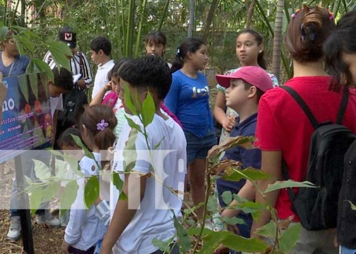 Foto: Niños del distrito VII aprenden a cuidar la reserva natural en el Arboretum Nacional/Cortesía