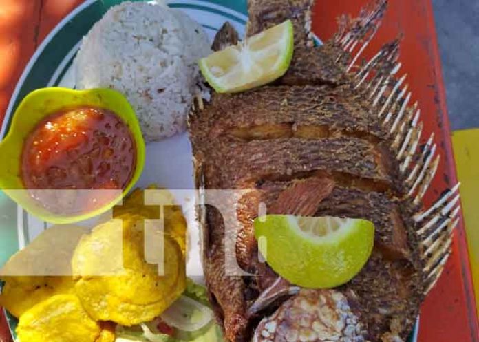 Foto: Descubre el sabor único de la Mojarra frita en la Isla de Ometepe/TN8